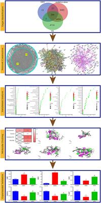 Guanxin V Acts as an Antioxidant in Ventricular Remodeling